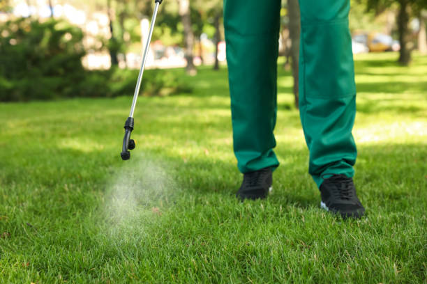 Best Bed Bug Extermination  in Windcrest, TX