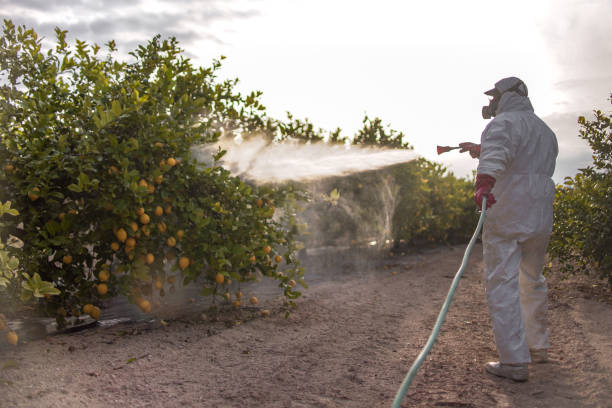 Best Commercial Pest Control Services  in Windcrest, TX
